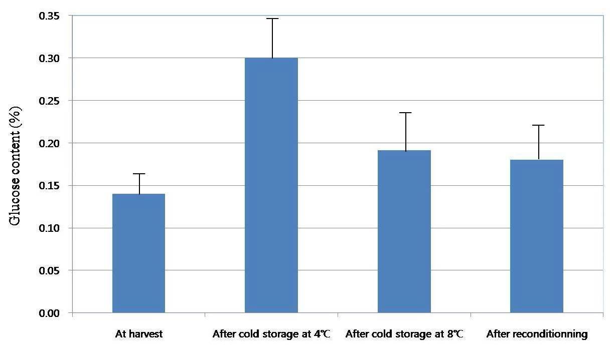 Comparison of glucose content at harvest, after cold storage at 4℃, 8℃ for 4months, and reconditioning at 20℃ for 2weeks, respectively. The vertical bars indicate standard errors.