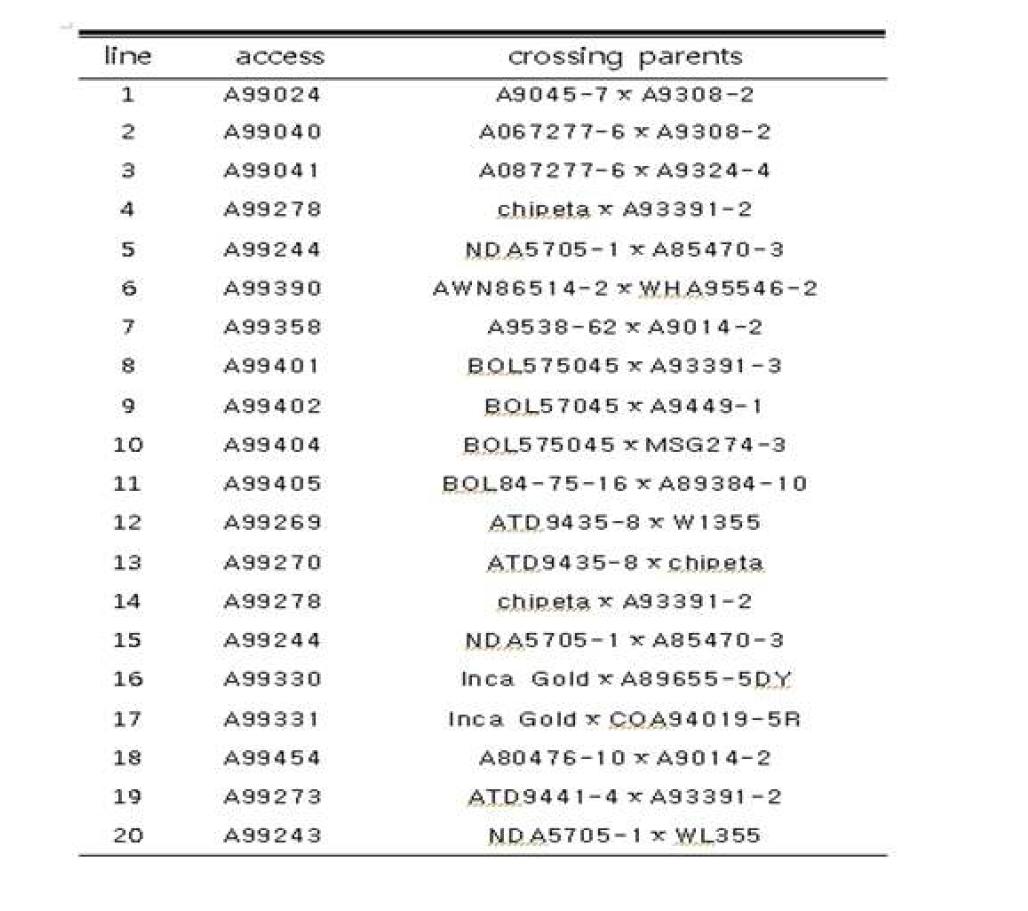 Parentage list of selected potato lines from KPGR Breeding System.