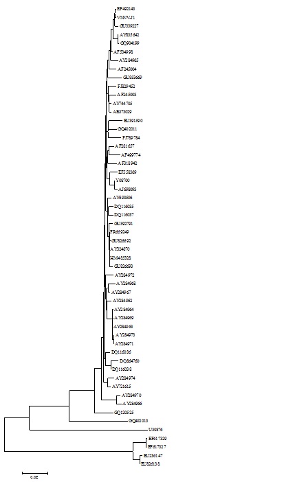 Fig. 7. Phylogenetic tree showing the genetic relationships among 54 VNNV based on the nucleotide sequences of the coat protein gene.