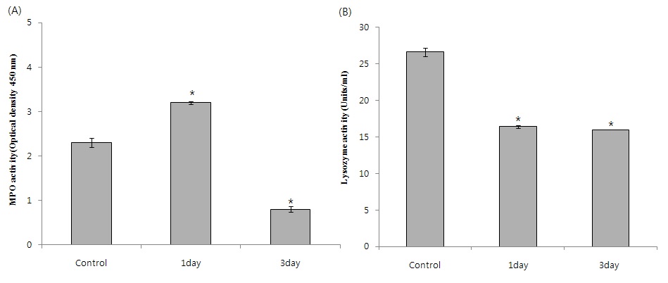 Fig. 11. Changes of MPO activity and lysozyme activity in serum of olive flounder, Paralichthys olivaceus injected intraperitoneally with 3×105 TCID50 ㎖-1 concentration (Control, VHSV) of 1day and 3day