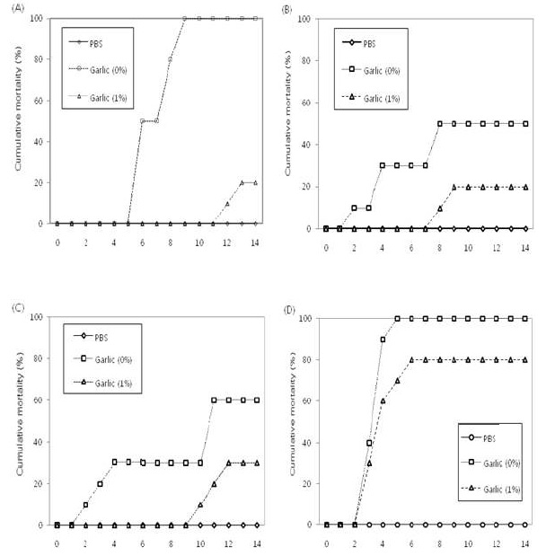 Fig. 13. Cumulative morality of olive flounder, Paralichthys olivaceus, challenged intraperitoneally with pathogens after fed a experimental diets supplemented 1% garlic extract for 4 weeks.