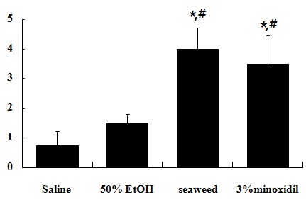Fig2. Hair regrowth rate in C57BL/6 mice treated with seaweed, 50% EtOH and 3% minoxidil for a period of 2 weeks. Hair growth was evaluated by the scoring index: 0-19%