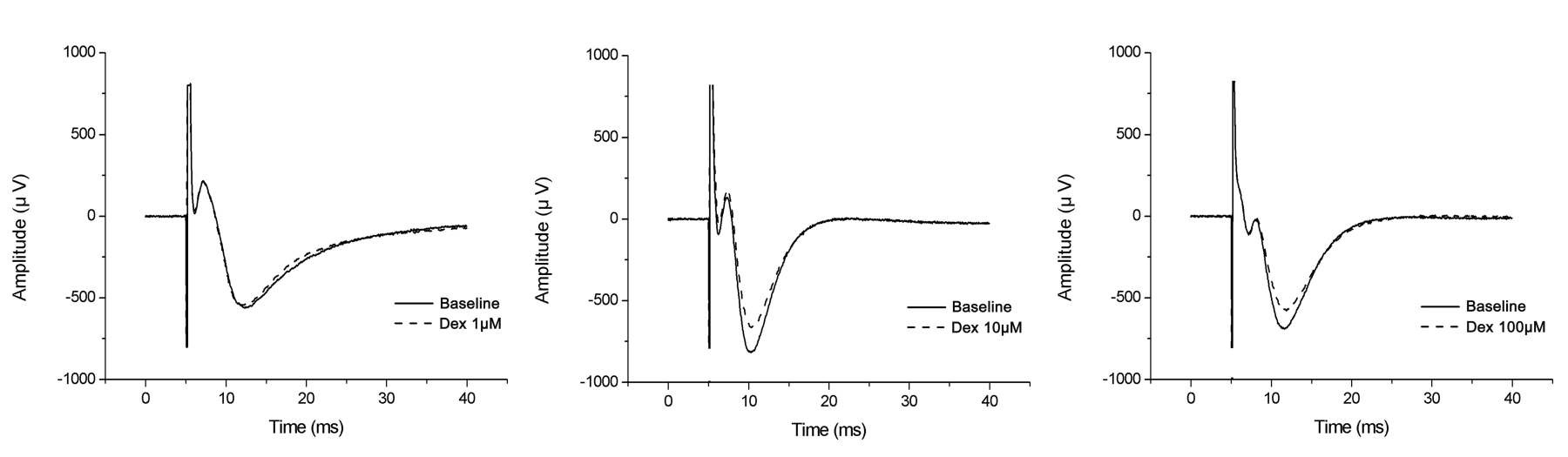 그림 6. Washout 30분 이후의 농도별 Dexmedetomidine에 의한 field potential amplitude 의 변화