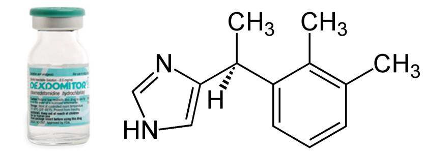 그림 1. Dexmedetomidine