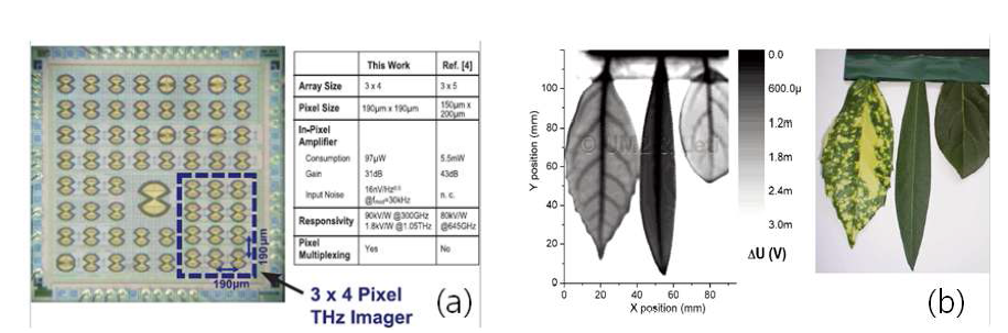 안테나 및 증폭기와 집적된 초고감도 Si THz PWT 검출 소자 개발 결과 (프랑스) (a) Array형 다중 픽셀 THz 검출기 prototype 제작결과 (b) 연성 생체 물질 이미징 결과