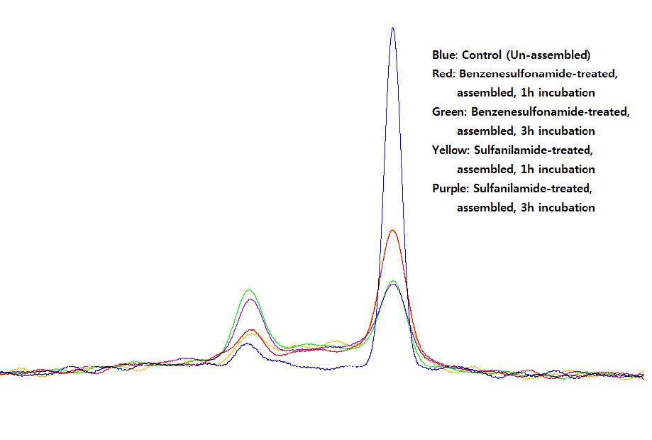 그림 59. Effects of benzenesulfonamide and sulfanilamide on chromatogram