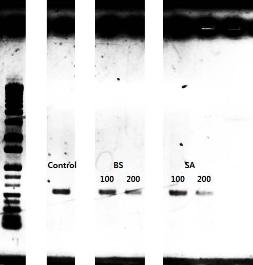 그림 61. Effects of Benzenesulfonamide and Sulfanilamide on Virus Titer