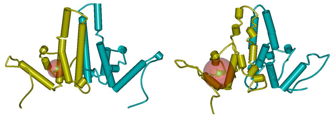 그림 64. Grooves in dimer (left) and hexamer (right)