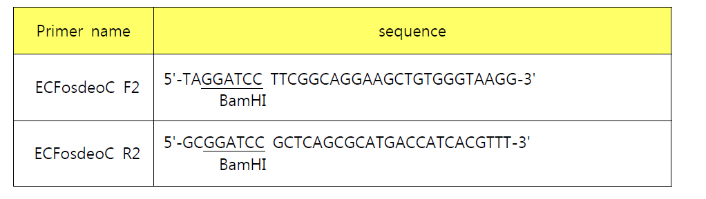 deoC gene 증폭을 위한 primers