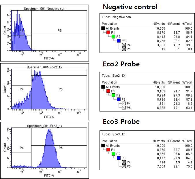 인공 박테리아 군집 FISH 시료에 대한 FACS 분석 결과