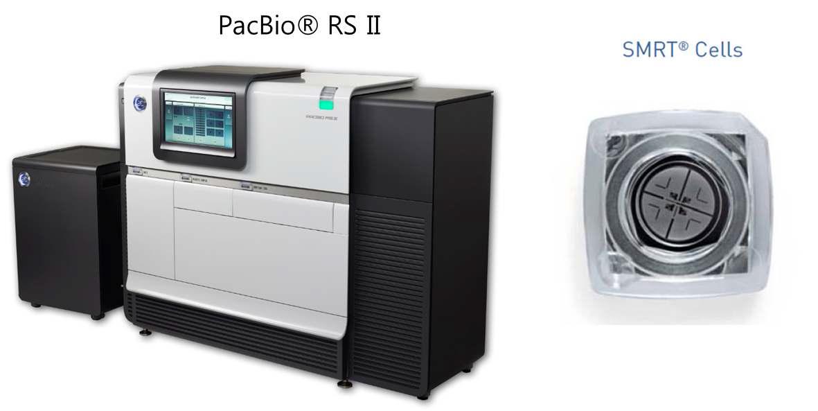 PacBio® RS II 시퀀싱 시스템.