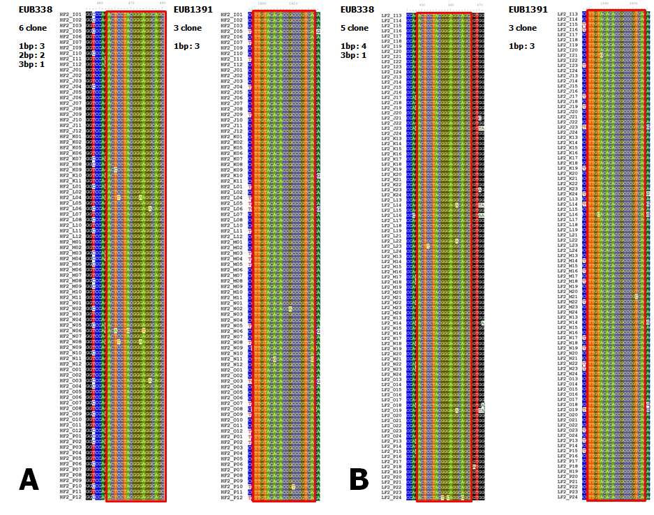 Cow rumen enrichment 시료의 16S rDNA 클론 라이브러리와 FISH probe alignment. A, Cow rumen FISH positive enrichment sample 16S rDNA clone library B, Cow rumen FISH negative enrichment sample 16S rDNA clone library