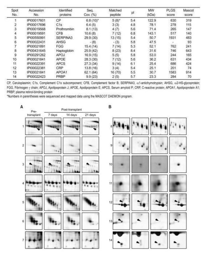 그림 8. MS 분석을 통해 동정된 단백질 리스트와 상세 gel 이미지