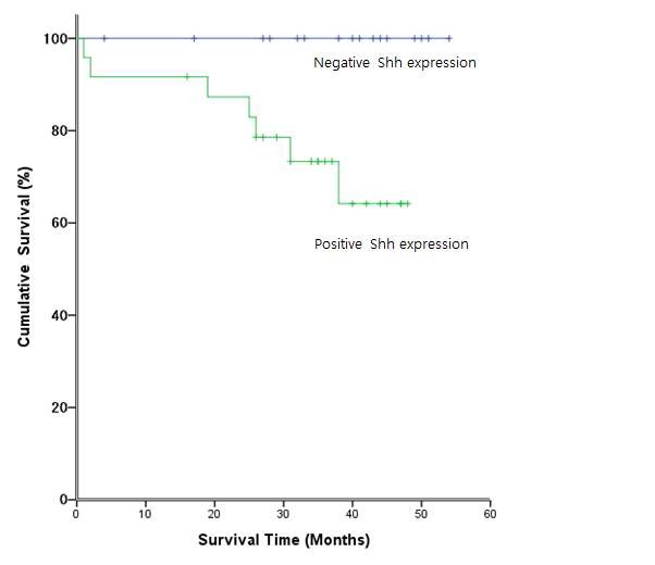 그림 2 Overall survival curves for 40 NSCLC patients positive or negative for Shh expression