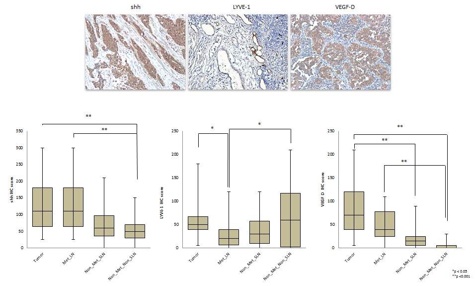 그림 1 Overall survival curves for 40 NSCLC patients positive or negative for Shh expression