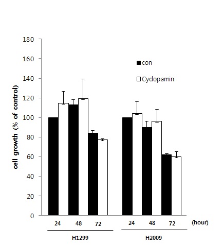 그림 5 페암세포주 H1299/H2009를 대상으로한 MTT assay