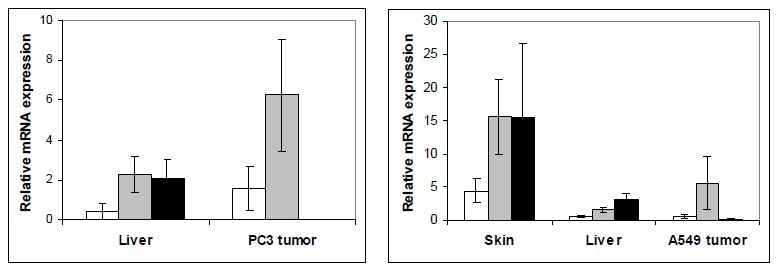 감시림프절 HIP mRNA expression in normal mouse tissues vs. PC3 and A549 tumors.