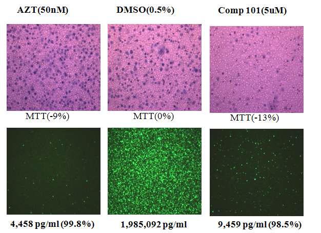 An example of anti-HIV efficacy by hit compound #101