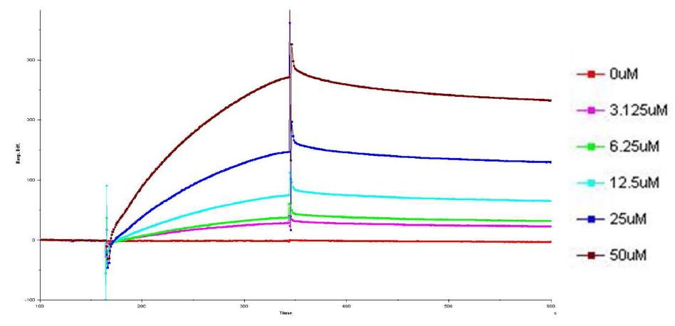 Determination Binding affinity of hit compound R80 to NC protein by BiaCore assay analysis