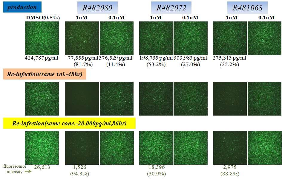 Mechanism of action study of candidate compound R080