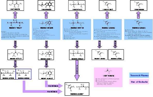 그림 5. 특허분석을 통한 RAGE antagonist 구조 검색. TransTech Pharma 와 Univ. of Rochester 의 특허 중심으로 구조분석함.