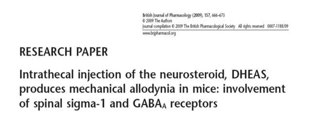 만성 통증 형성과 관련되는 새로운 표적인자로서 척수 내 신경스테로이드의 역할 규명(Br J Pharmacol, 2009)