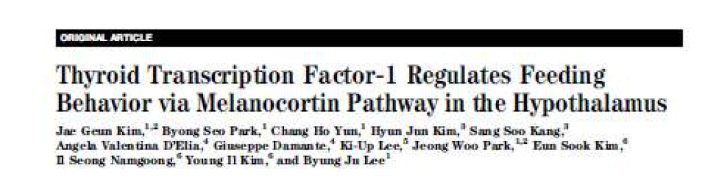 흰쥐 뇌 시상하부에서 TTF-1이 melanocortin pathway의 AGRP와 POMC를 조절함으로써 식욕조절(Diabetes, 2011)