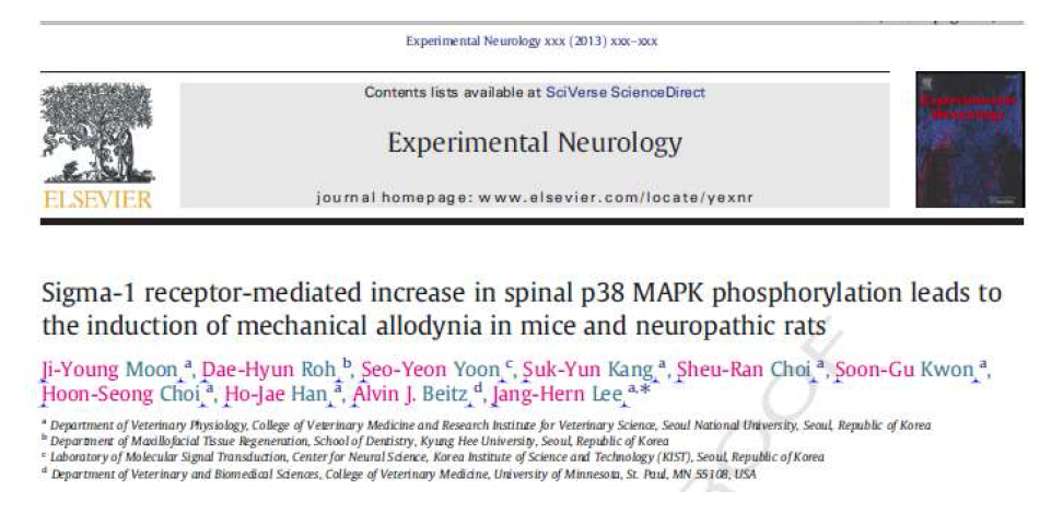 물리적 이질통의 형성에 시그마 수용체 활성에 의한 p38 MAPK 인산화가 미치는 영향 규명(Exp Neurol, 2013)