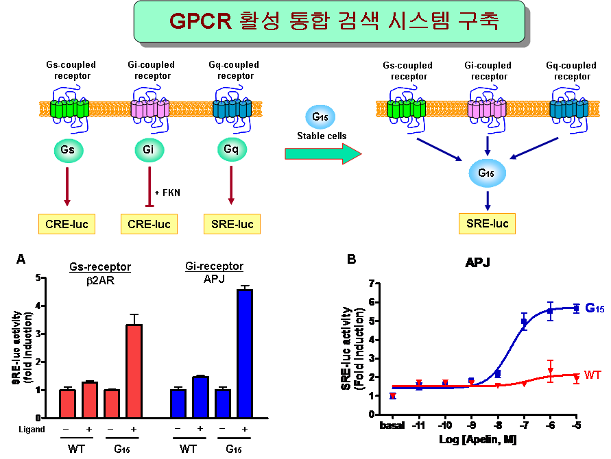 GPCR 활성 통합 평가 시스템