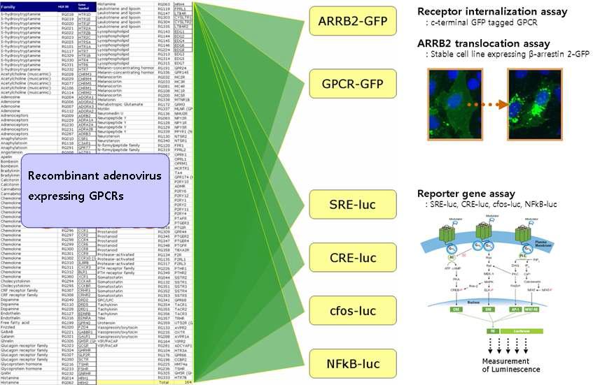 GPCR Panel Screening System