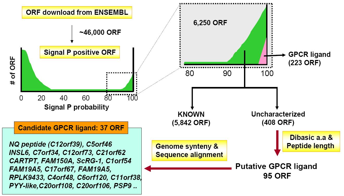 생물정보학방법을 이용한 신규 GPCR 리간드 후보 유전자 발굴