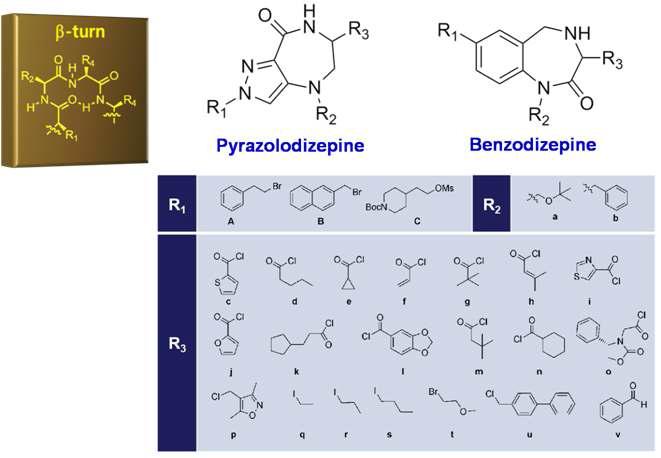 β-turn 유사 골격 pyrazolodizepine과 benzodizepine 유도체 50종