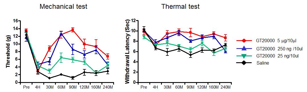 신경병증성 통증모델에서 GPR92 작용억제제, GT20000의 진통효과