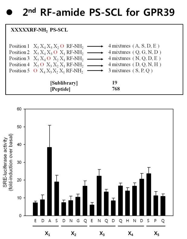 GPR39에 대한 2nd RF-amide PS-SCL 제작 및 screening