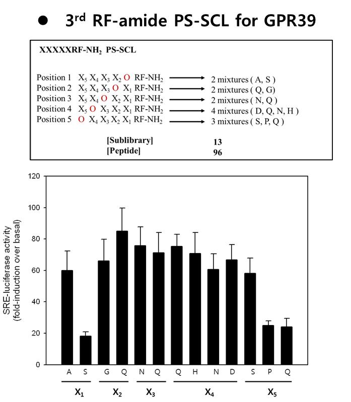 GPR39에 대한 3rd RF-amide PS-SCL 제작 및 screening