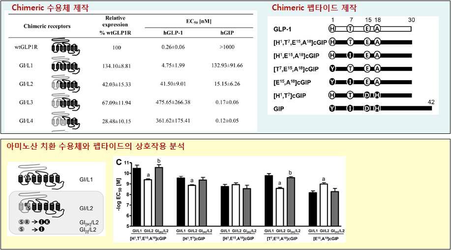 GLP-1 수용체 아날로그 개발 및 리간드 결합부위 동정