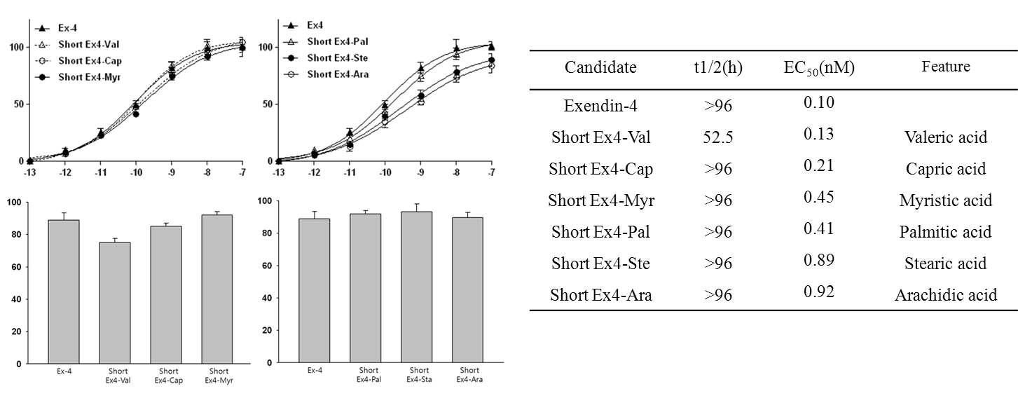 Exendin-4 유도체인 Short Ex4-fatty acids의 NEP 24.11에 대한 안정성 및 활성