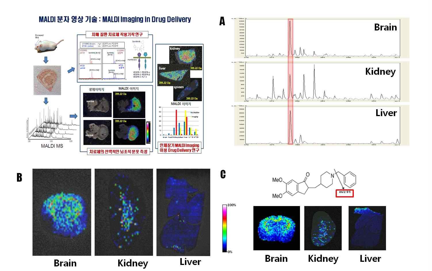 [Mouse brain 조직내 Donepezil 분포를 나타내는 MALDI 분자영상 이미지와 스펙트럼.