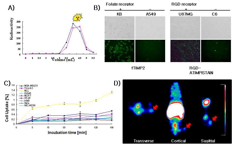방사성동위원소 68Ga으로 표지한 방사성추적자의 합성 수율 (A), 항암제의 종양세포에 대한 internalization 정도 확인 (B), 다양한 종양세포에 대한 방사성추적자의 결합 정도 (C),종양 모델에서 PET 영상 (D)