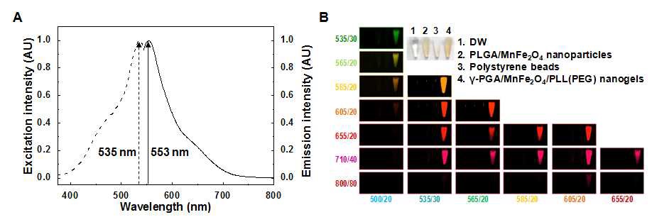 self-fluorescent MR/optical 다중모드 나노입자의 형광 스펙트럼(A)과 형광 이미지(B)