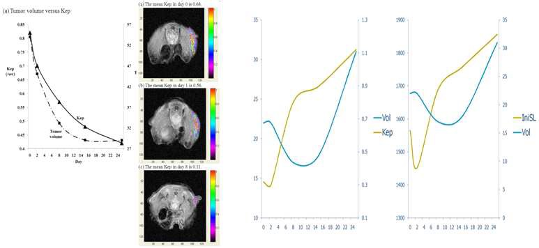 Tumor regression group(좌)과 retardation group(우)에서의 tumor volume 과 Kep 측정과의 상관관계 비교