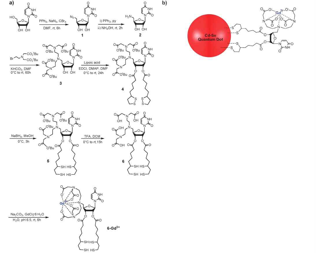 Synthetic routes of 6-Gd3+(a) and 6-Gd3+-QD (b)