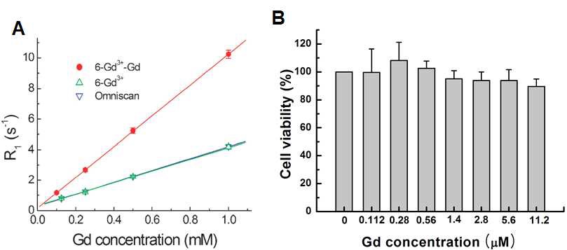 6-Gd3+-QD와 상용조영제 (Omniscan®) 의 R1 값 측정(A), In vitro상에서 6-Gd3+-QD의 독성 실험(B).