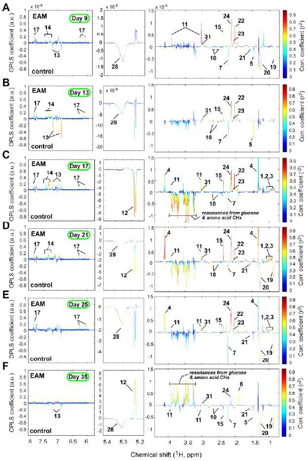 1H NMR spectroscopy를 통해 얻은 혈장 내 대사산물의 O-PLS-DA coefficient 분석 결과의 대사산물 측정 결과