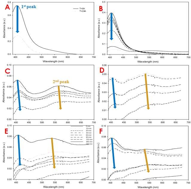 그림 3.1.9 시간에 따른 은나노 입자의 UV 스펙트럼 변화. A: 증류수, B: 10 mM NaNO3, C:,40 mM NaNO3,　D: 10 mM Ca(NO3)2 E: 100 mM NaNO3, F: Hardwater