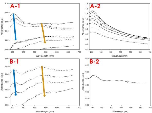 그림 3.1.10 시간에 따른 은나노 입자의 UV 스펙트럼 변화. A-1: Hardwater A-2: Hardwater + Montmorillonite, B-1: 10 mM Ca(NO3)2 B-2: 10 mM Ca(NO3)2 + Montmorillonite