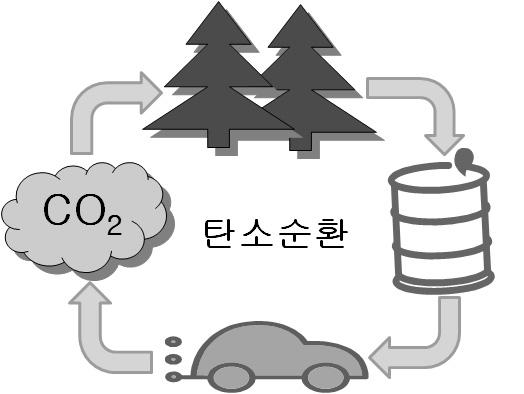 탄소순환 모식도