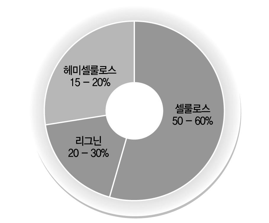 목질계 바이오매스의 구성 성분