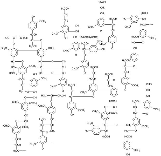 리그닌 polymer의 구조