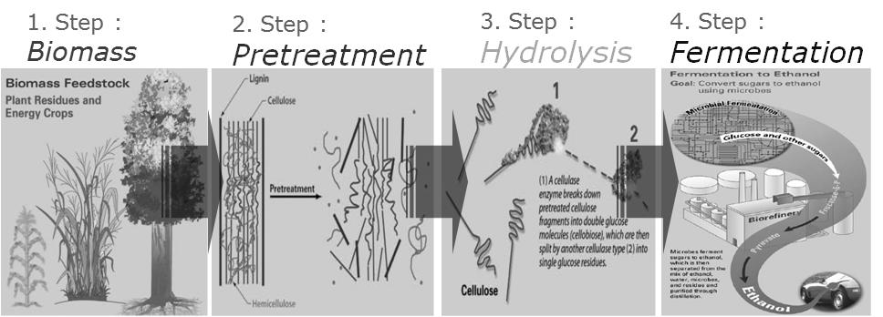 목질계 바이오에탄올 생산단계 모식도